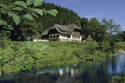 Hotel Restaurant Ochsenwirtshof Bad Rippoldsau-Schapbach Kültér fotó